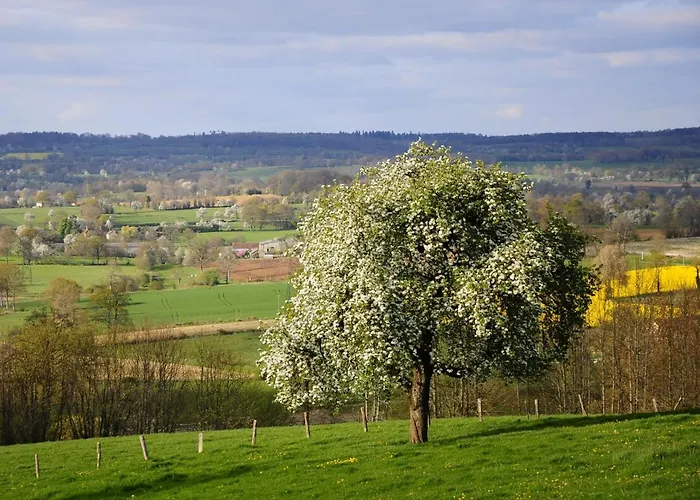 Appartamento Centre Tinchebray-Bocage